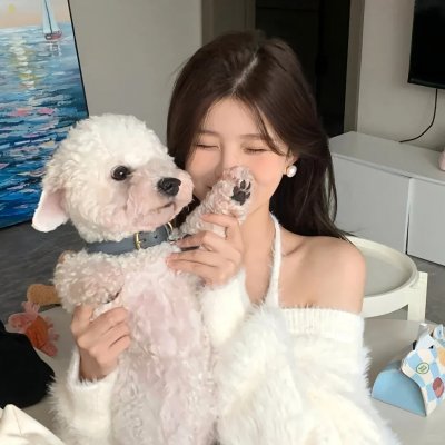 好莱坞芭比电影版